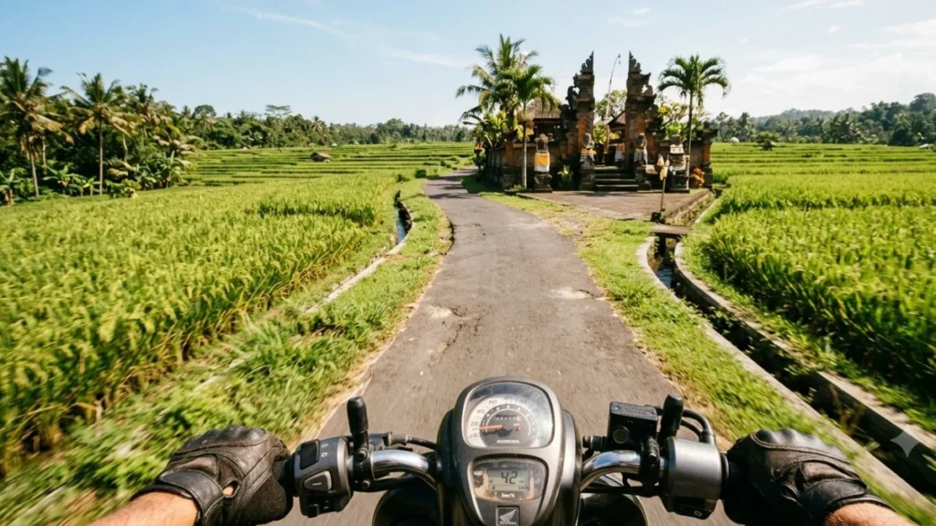 Renting a motorbike in Bali tips — first-person rider perspective on narrow lane between rice paddies with temple gate visible in distance in bright midday light.