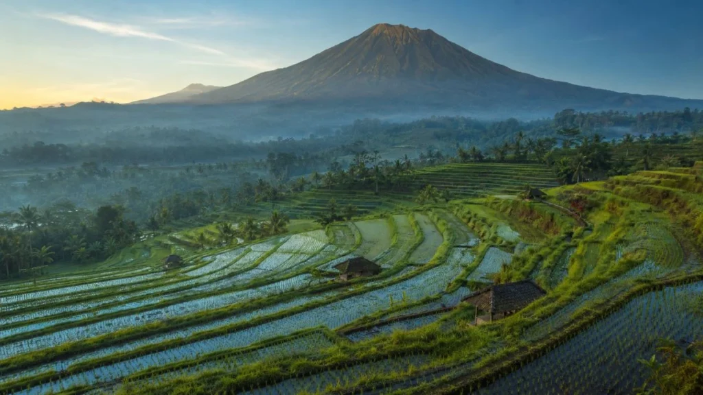 Belimbing rice terrace with water channels and Mount Batukaru in West Bali