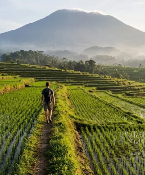 sidemen-valley-trekking-guide-rice-terraces-agung